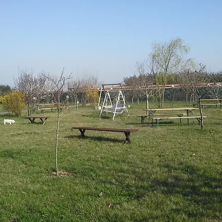 Cascina Dei Gelsi * Sale