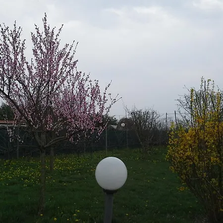 Cascina Dei Gelsi Pensjonat Sale