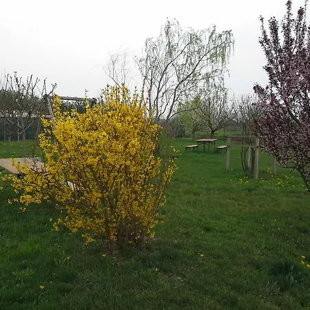 Cascina Dei Gelsi Sale