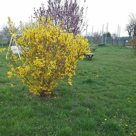 Pensjonat Cascina Dei Gelsi