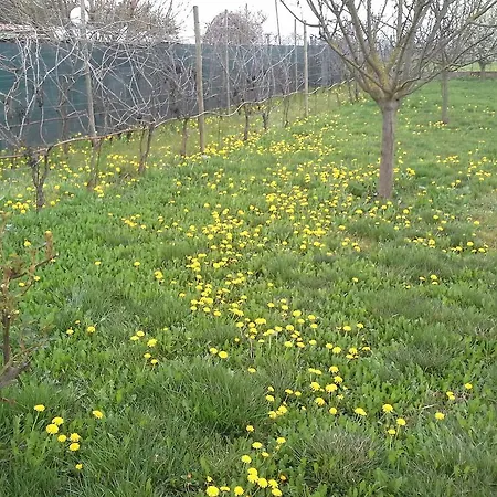 Cascina Dei Gelsi * Sale